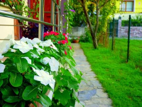 Egemen Butik Otel Rezervasyon