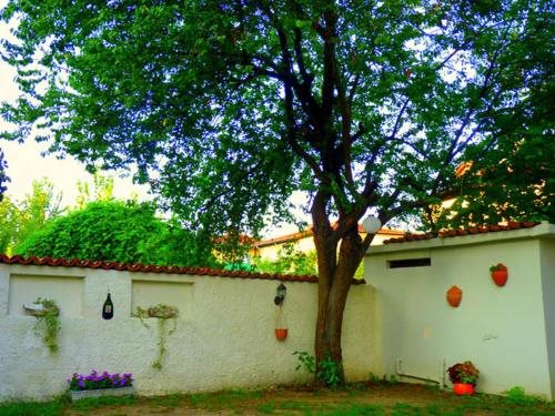 Egemen Butik Otel Rezervasyon