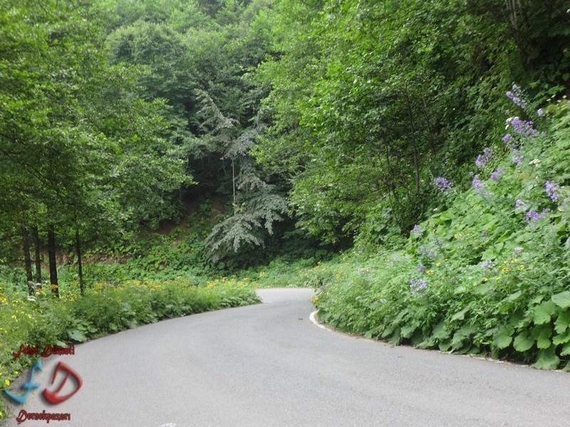 Hotel Kardelen Rezervasyon