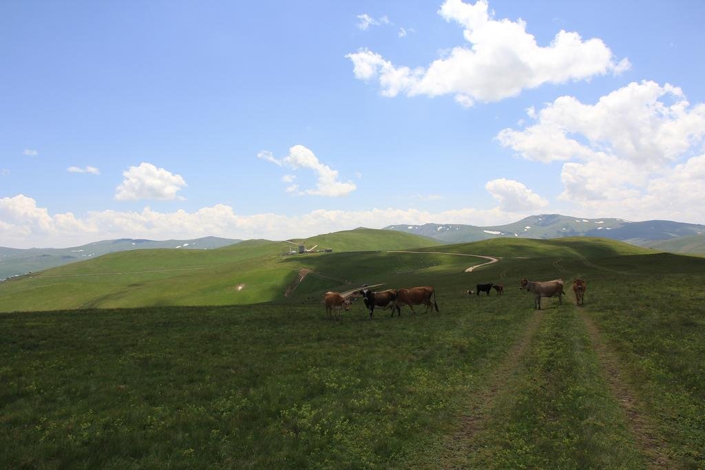 Hotel Kardelen Rezervasyon