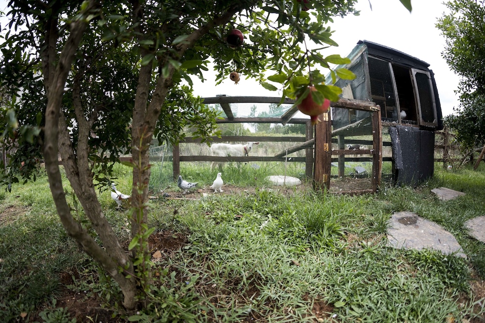 Kerpe Diem Butik Otel Rezervasyon