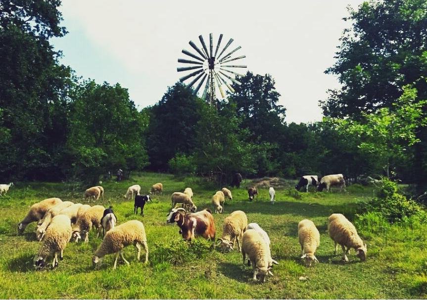 Narköy Ecologic Hotel & Organic Farm Rezervasyon