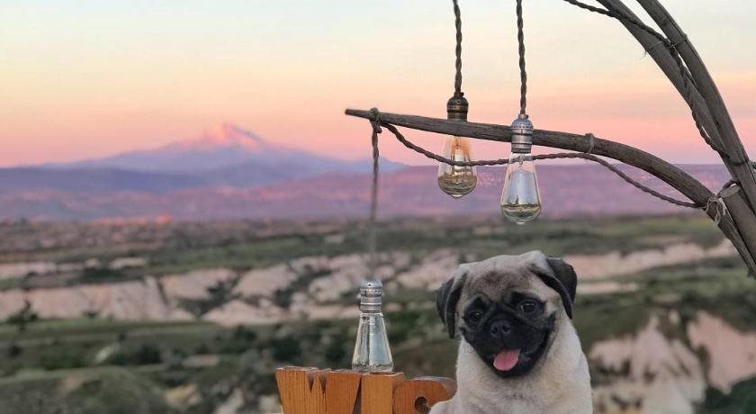Wish Cappadocia Rezervasyon