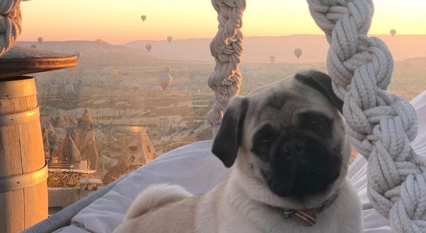 Wish Cappadocia Rezervasyon