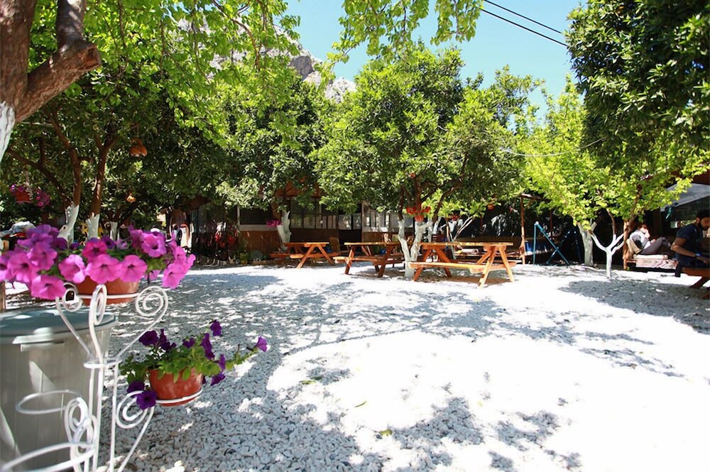Olympos Ruya Pansiyon Rezervasyon