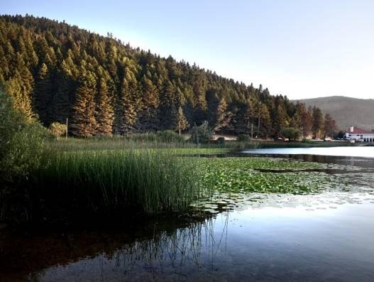 Haci Abdullahlar Konagi Rezervasyon