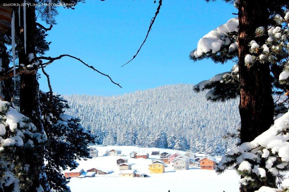 Koroglu Konagi Rezervasyon