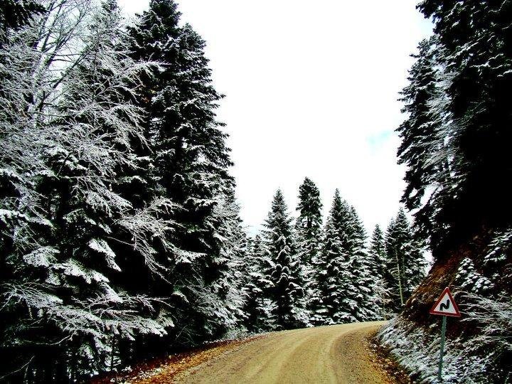 Koroglu Konagi Rezervasyon