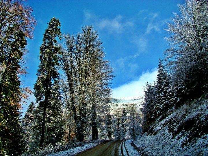 Koroglu Konagi Rezervasyon