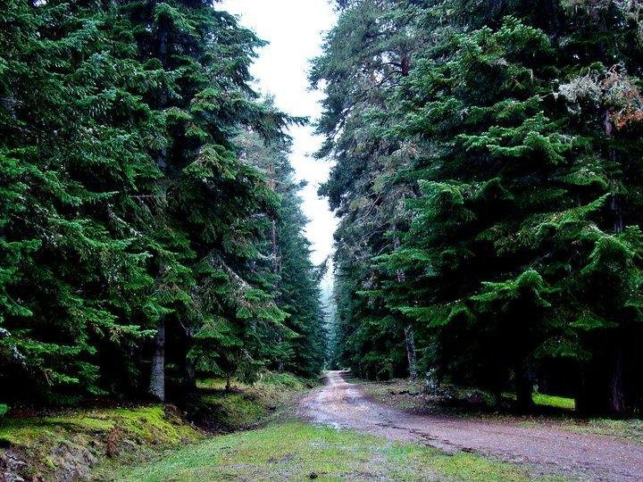 Koroglu Konagi Rezervasyon