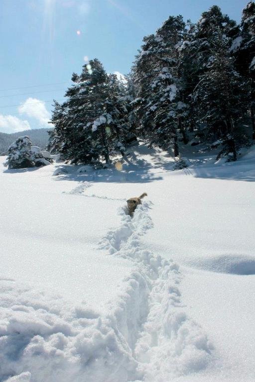 Koroglu Konagi Rezervasyon