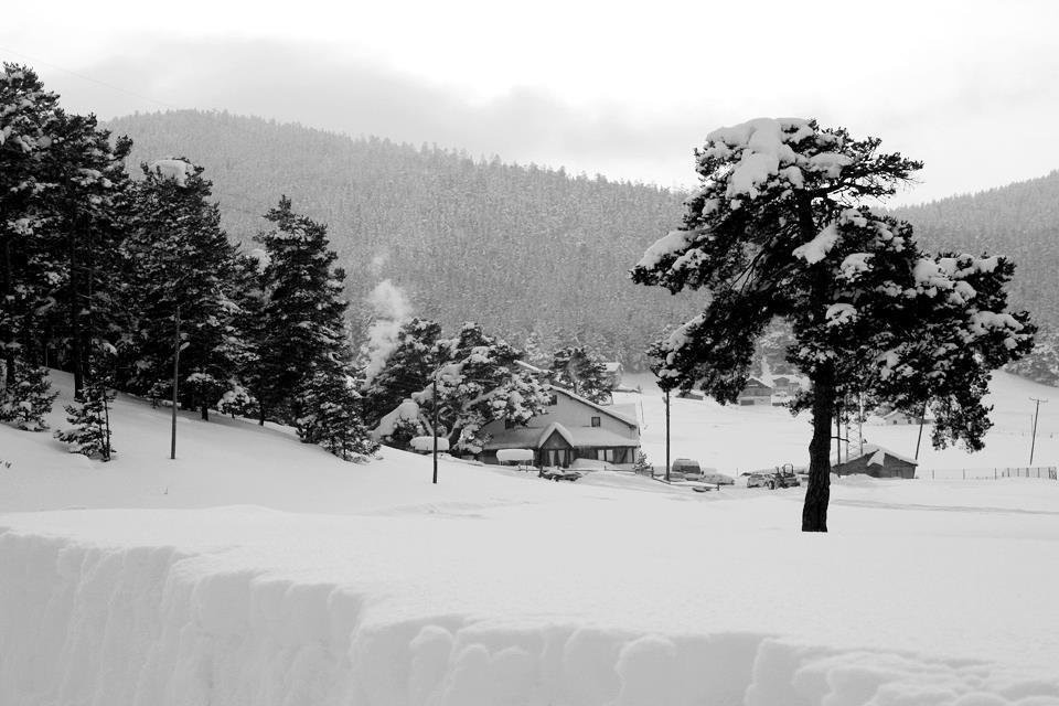 Koroglu Konagi Rezervasyon