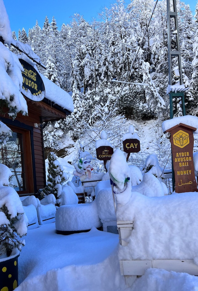 Ayder Avusor Butik Hotel Rezervasyon