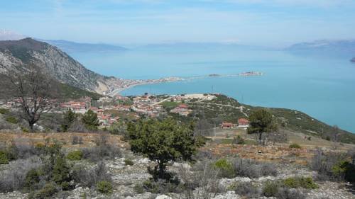 Alis Pension Rezervasyon