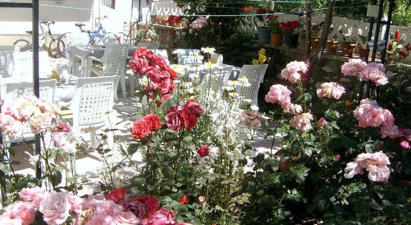 Sehsuvar Peace Pension Rezervasyon