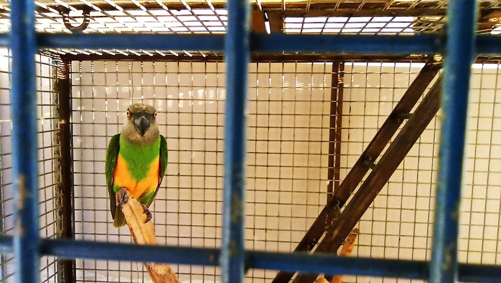 Ideal Pension Rezervasyon