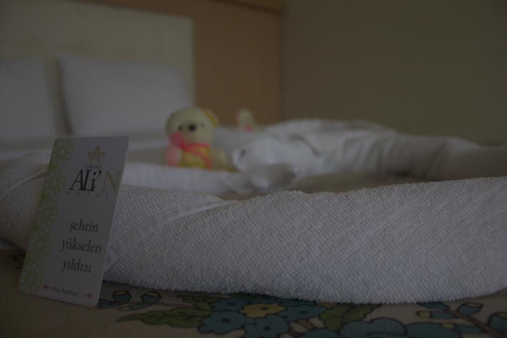 Grand Alin Hotel Rezervasyon