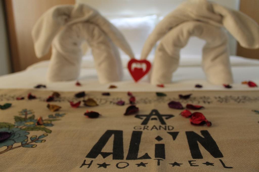 Grand Alin Hotel Rezervasyon