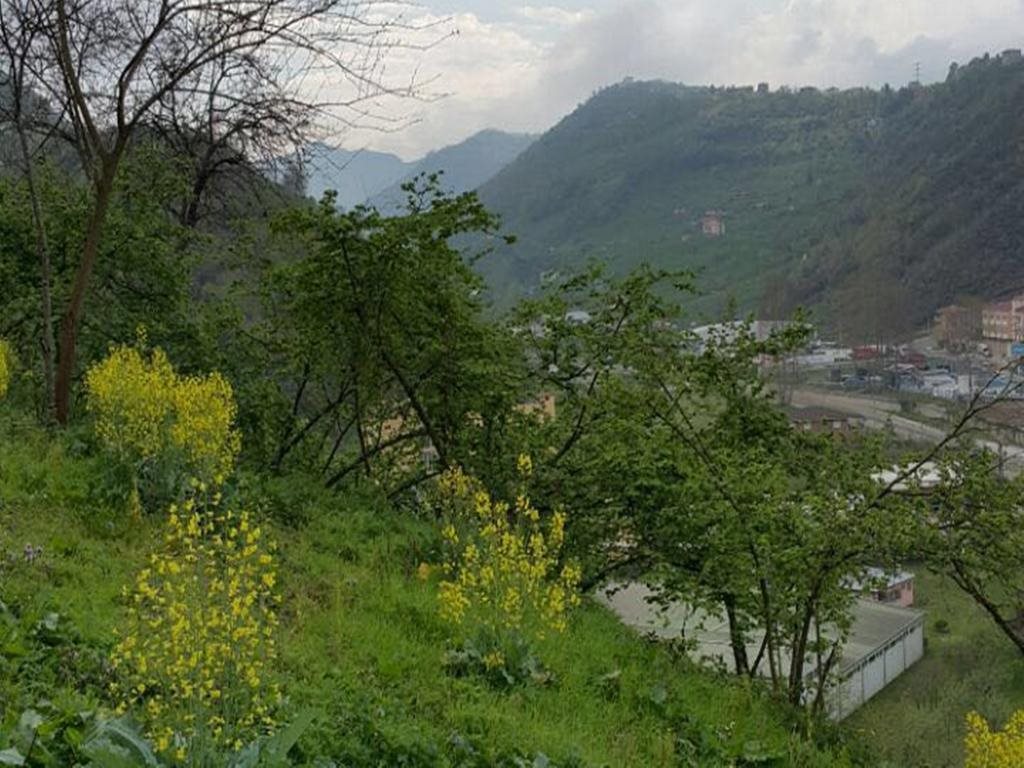 Riyadh House Rezervasyon