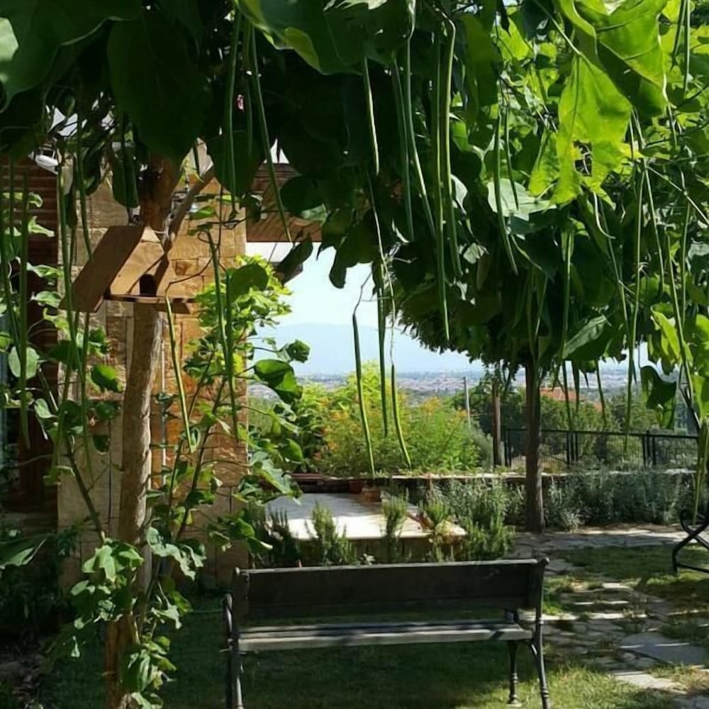 Daidalos Boutique Hotel Rezervasyon