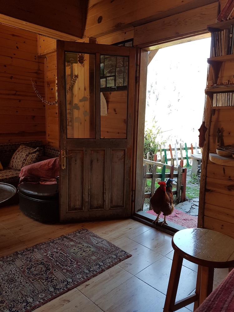 Fora Pansiyon Rezervasyon