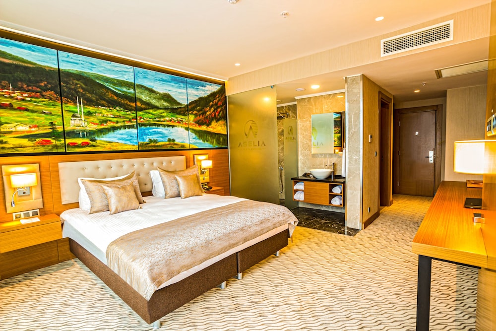 Aselia Hotel Trabzon Rezervasyon