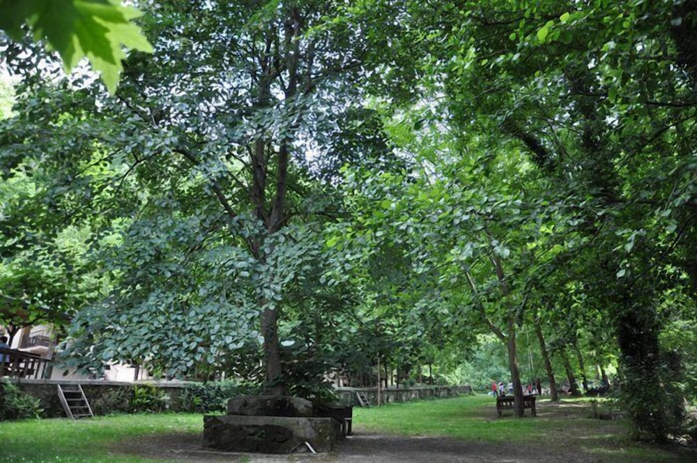 Bogazici Butik Otel & Restaurant Rezervasyon