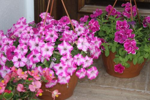 Helvacioglu Butik Otel Rezervasyon