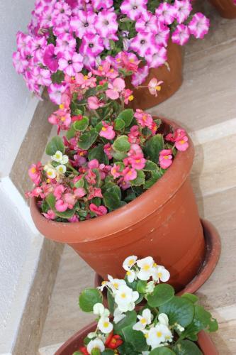 Helvacioglu Butik Otel Rezervasyon