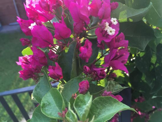 Aria Butik Otel Rezervasyon