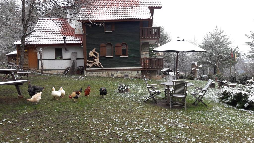 Abant Korudam Cafe & Pension Rezervasyon