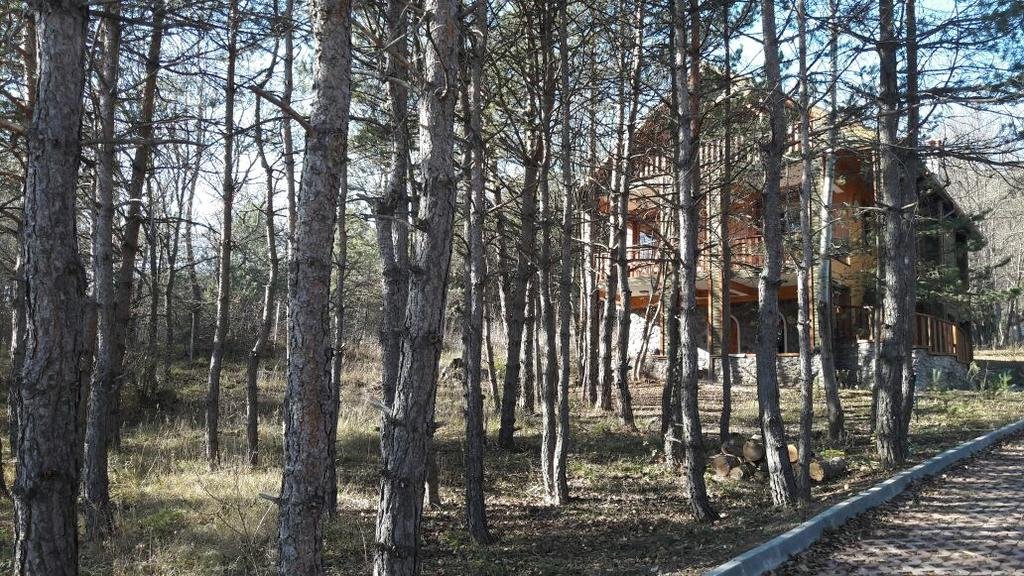 Abant Korudam Cafe & Pension Rezervasyon