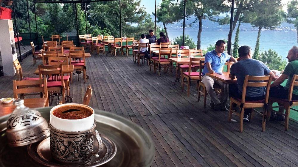 Sakarya Il Ormani Tabiat Parki Kampi Rezervasyon