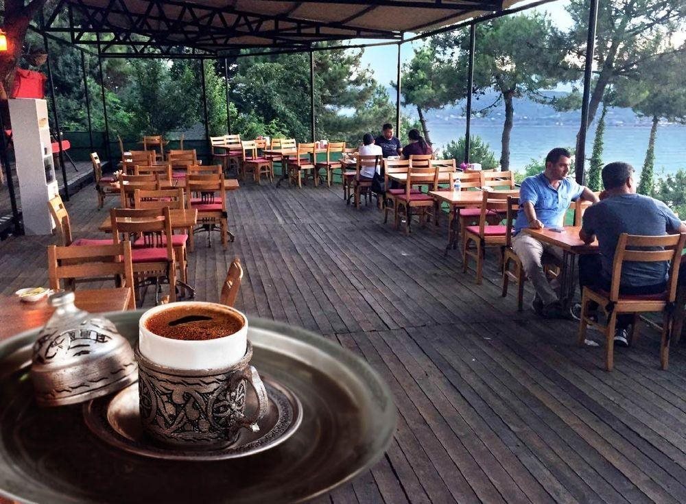 Sakarya Il Ormani Tabiat Parki Kampi Rezervasyon