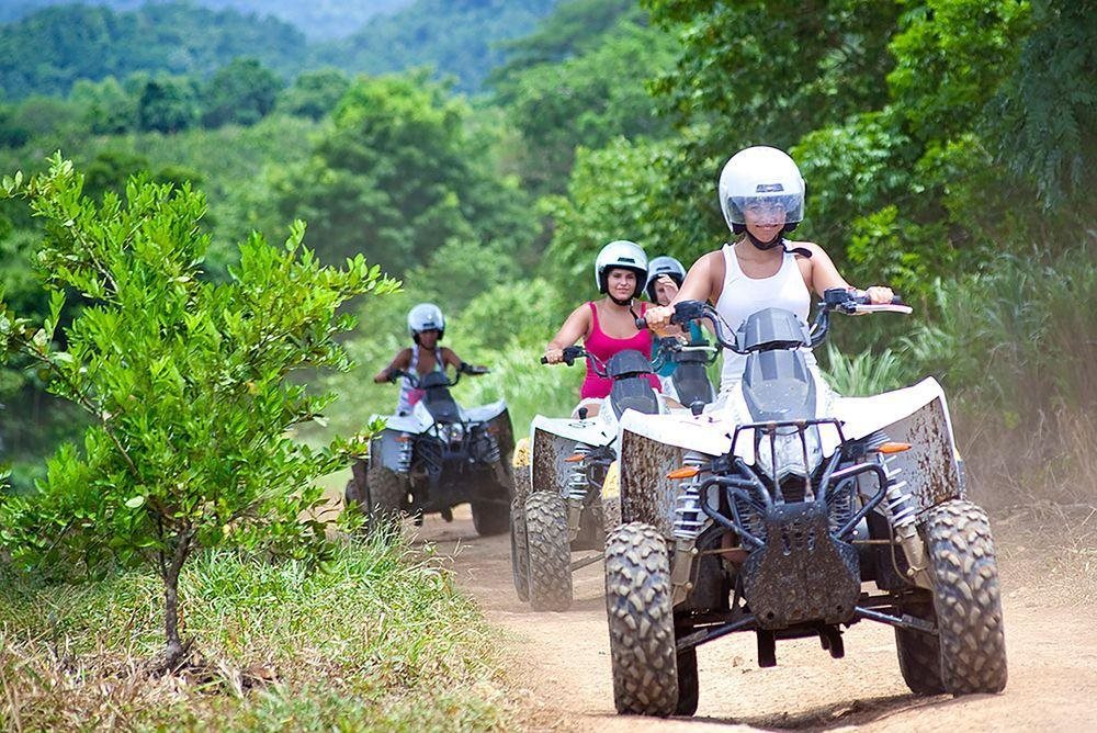 Sakarya Il Ormani Tabiat Parki Kampi Rezervasyon