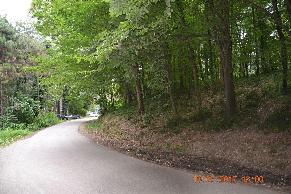 Sakarya Il Ormani Tabiat Parki Kampi Rezervasyon