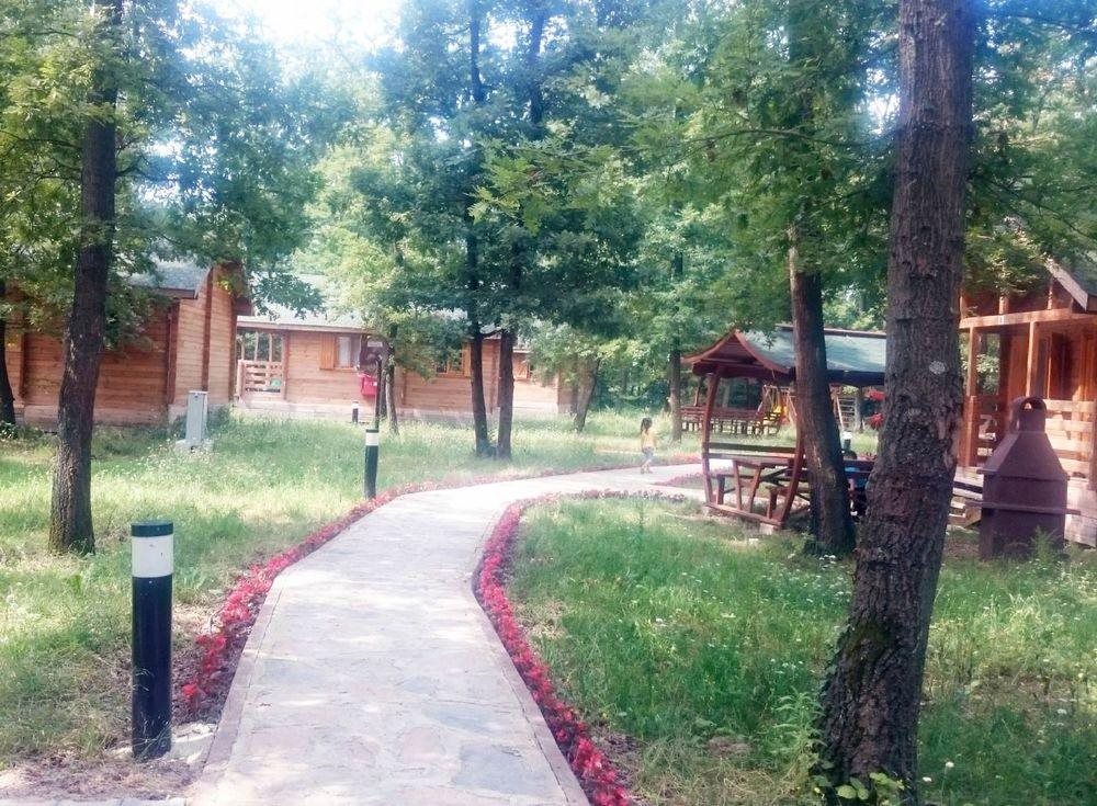 Sakarya Il Ormani Tabiat Parki Kampi Rezervasyon