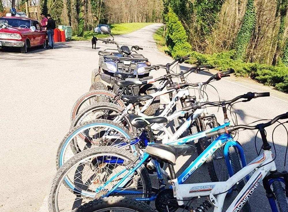 Sakarya Il Ormani Tabiat Parki Kampi Rezervasyon