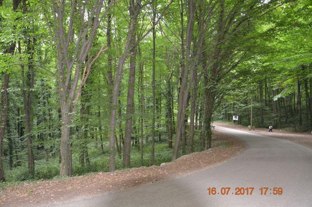 Sakarya Il Ormani Tabiat Parki Kampi Rezervasyon