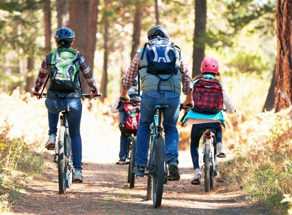 Sakarya Il Ormani Tabiat Parki Kampi Rezervasyon