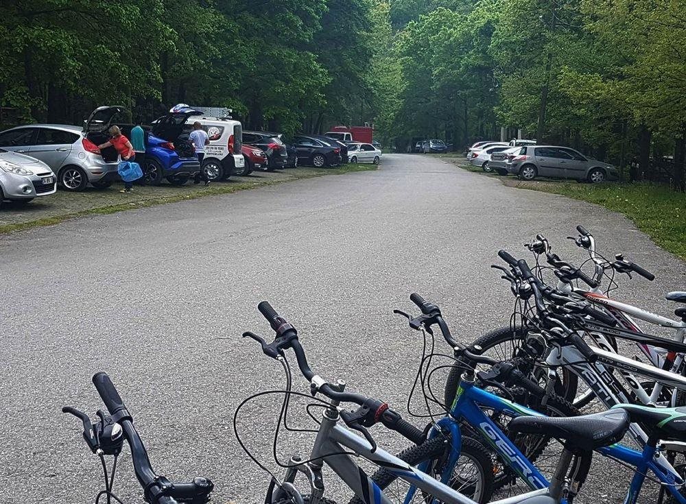 Sakarya Il Ormani Tabiat Parki Kampi Rezervasyon