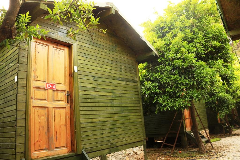 Olimpos Zeytin Pansiyon Rezervasyon