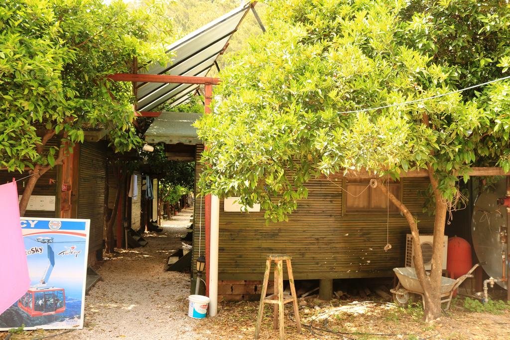 Olimpos Zeytin Pansiyon Rezervasyon