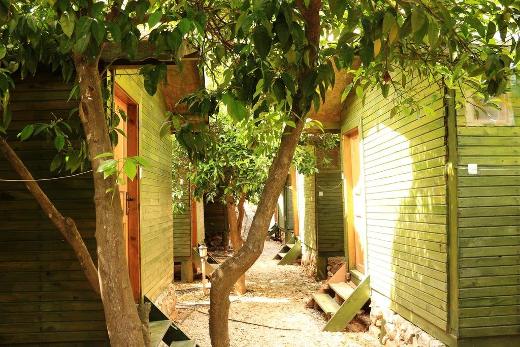 Olimpos Zeytin Pansiyon Rezervasyon