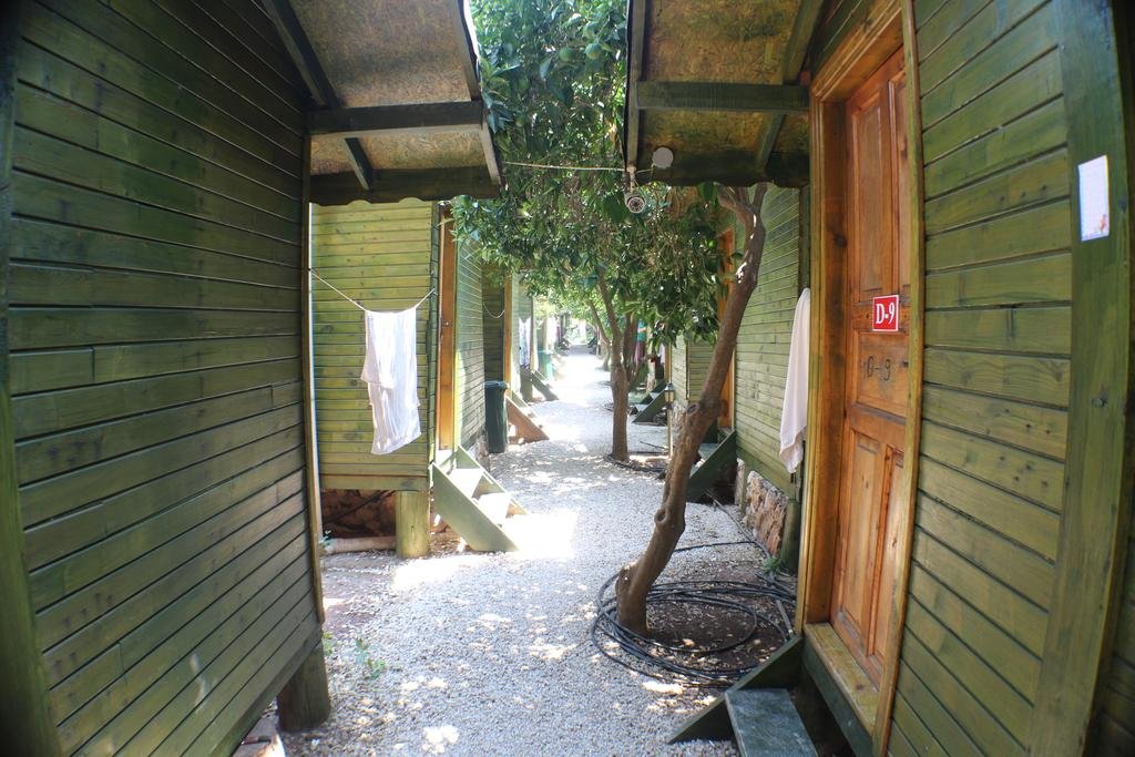 Olimpos Zeytin Pansiyon Rezervasyon