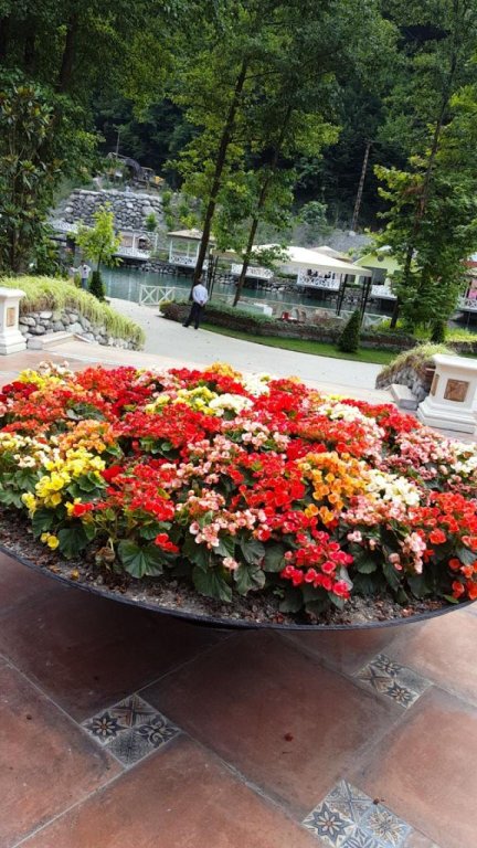 Myhome Sapanca Rezervasyon