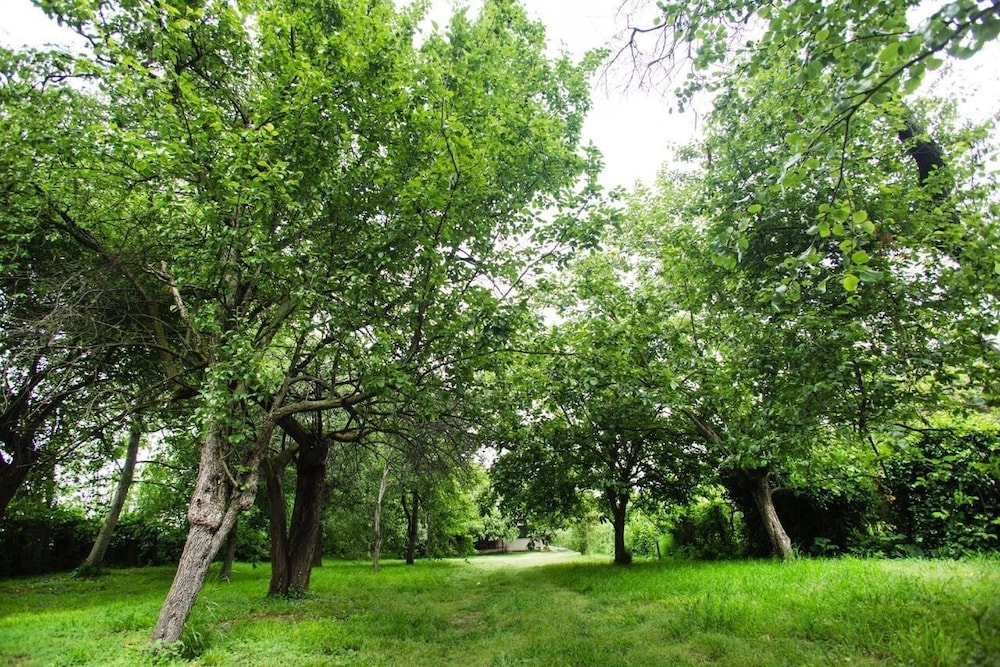 Oykum Villa Sapanca Rezervasyon