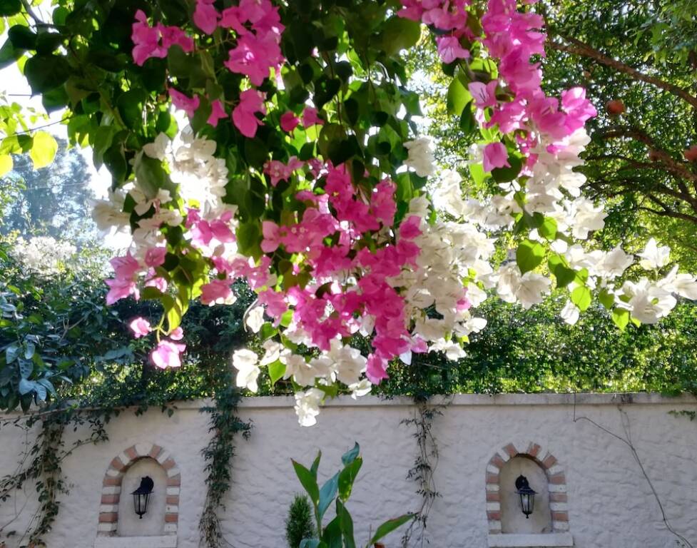 Nar Suites Rezervasyon