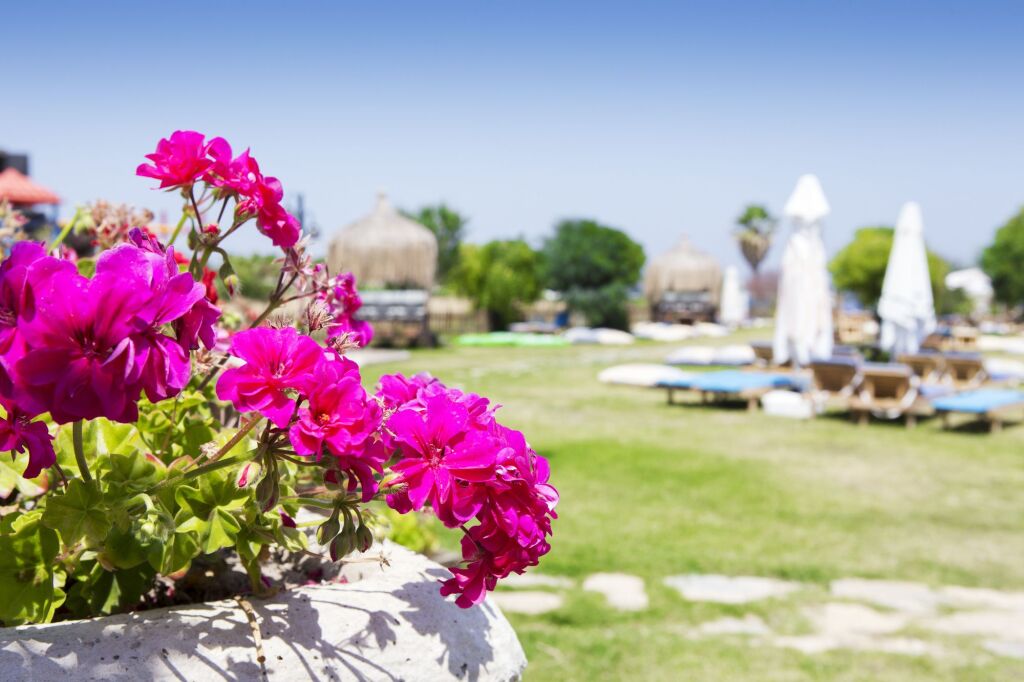 Rooms Bohemian Hotel Rezervasyon