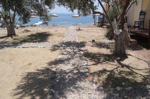 Mavizeytin Beach Club Rezervasyon
